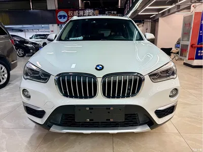 2019 BMW X1 xDrive20Li Premium Model, фото 1, лот 10464922
