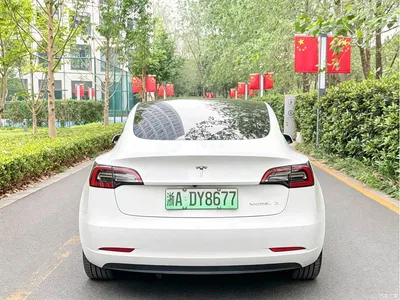 2021 Tesla Model 3 Standard Range Rear-Wheel Drive Upgrade, фото 4, лот 11211537