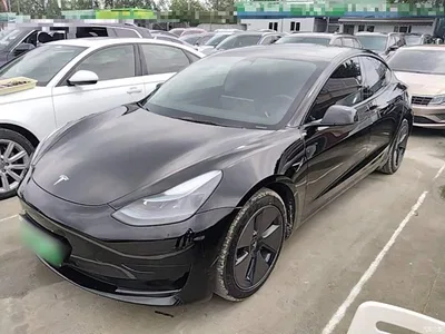 2022 Tesla Model 3 Model Rear-Wheel Drive Version, фото 2, лот 10674778