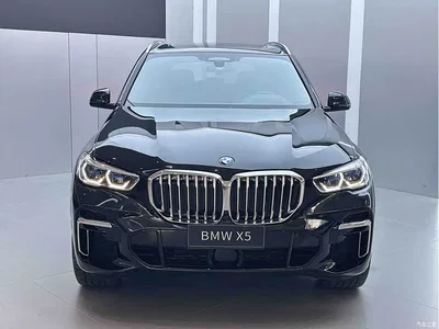 2022 BMW X5 Facelift xDrive 40Li Premium M Sport Package, фото 2, лот 10462974