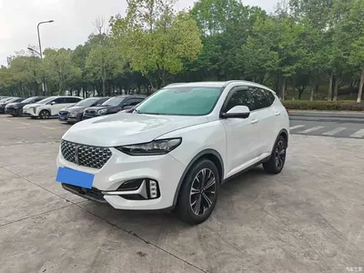 2021 WEY VV6 2.0T 2WD Smart Protection+, фото 1, лот 10452172