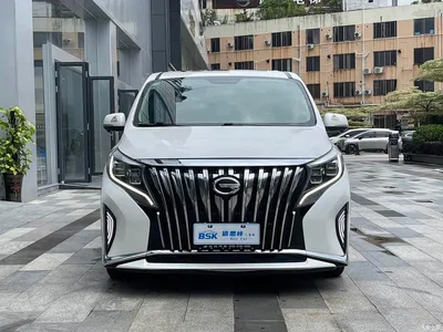 2021 GAC Trumpchi Trumpchi M8 Facelift Leading Series 390T Luxury Edition, фото 2, лот 11226470