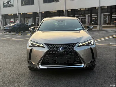 2020 Lexus UX Electric 300e Pure Yue Edition, фото 2, лот 11217487