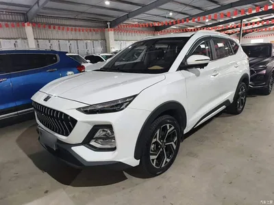 2021 Sehol X8 300T DCT Luxury Smart Connect 7-Seater, фото 1, лот 11144794