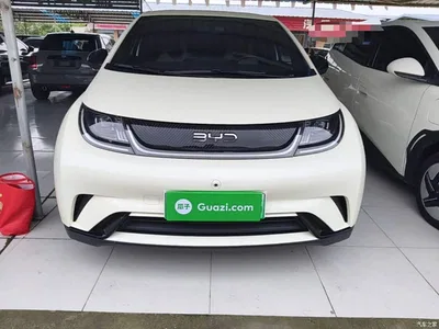 2025 BYD Dolphin 420km Freedom Edition, фото 3, лот 11241396