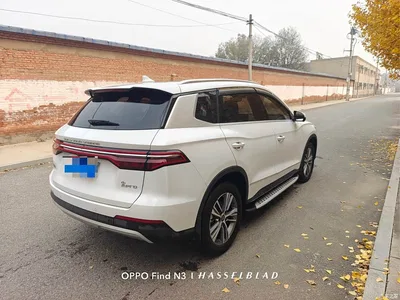 2019 BYD Song Pro 1.5T Automatic Luxury, фото 4, лот 10253944