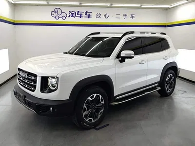 2021 Haval Big Dog 2.0T DCT 4WD Chinese Rural Dog Edition, фото 1, лот 10625818