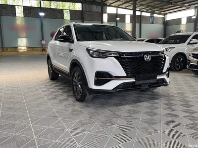 2022 Changan CS55 PLUS Blue Whale Edition 1.5T DCT Luxury, фото 4, лот 10255891