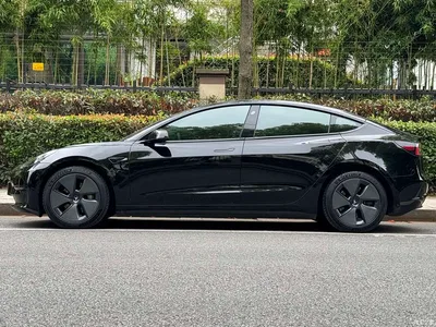 2022 Tesla Model 3 Model Rear-Wheel Drive Version, фото 3, лот 10326747