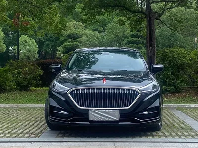 2019 Hongqi H5 30TD Smart Connected Premium Edition, фото 1, лот 10360934