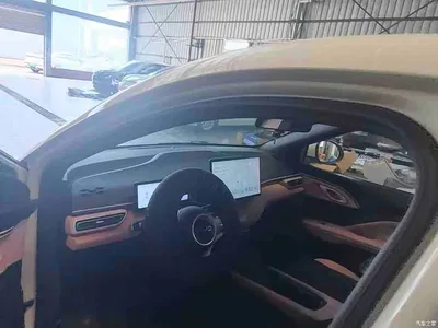2025 BYD Seagull Smart Driving Edition 405km Flying Edition, фото 3, лот 11547060