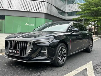 2023 Hongqi H5 2.0T Auto Smart Connect Flag Comfort, фото 1, лот 10414971