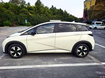 2024 BYD Dolphin Glory Edition 420km Fashion Edition, фото 4, лот 10620706