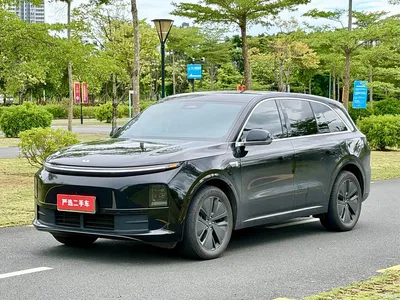 2024 Li Auto L6 Pro, фото 1, лот 10447300