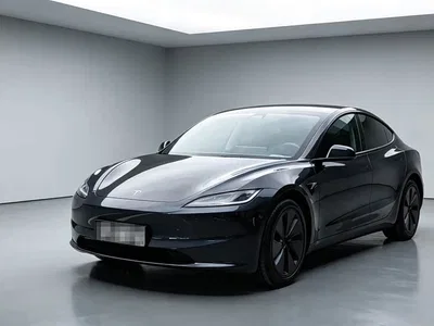 2025 Tesla Model 3 Model Rear-Wheel Drive Edition, фото 1, лот 10367572