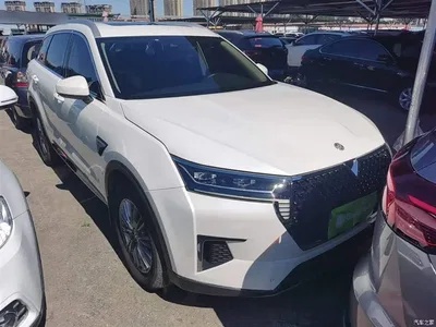 2021 Venucia Star 260T Auto 48V Mild Hybrid Star Edition, фото 4, лот 11153545