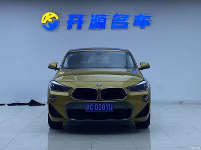 2019 BMW X2 (Import) sDrive20i M Off-Road Package China VI, фото 1, лот 10475574
