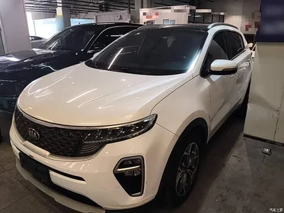 2019 Kia KX5 1.6T Automatic 2WD Luxury Edition, фото 2, лот 10337454