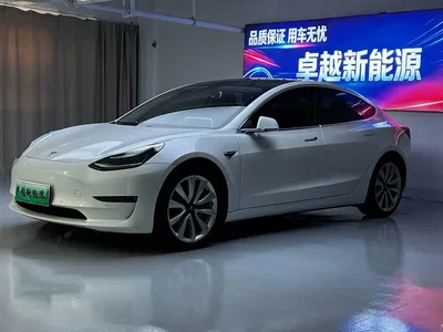 2020 Tesla Model 3 Facelift Long Range Rear-Wheel Drive, фото 1, лот 10354928