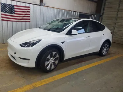 2023 TESLA MODEL Y, фото 1, лот 10854618