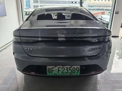 2022 BYD Destroyer 05 DM-i 55KM Luxury, фото 4, лот 10257866