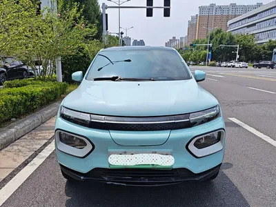 2022 Dongfeng Yipai Nano BOX Wind Chaser Edition 351KM Advanced, фото 3, лот 10822451