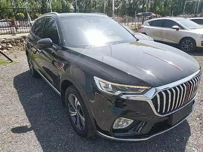 2019 Hongqi HS5 2.0T Smart Connect Enjoy Edition, фото 4, лот 10289929