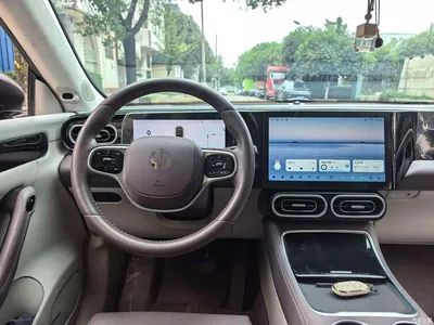 2023 Leapmotor C11 Range Extender 180 Comfort Edition, фото 4, лот 10813088