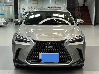 2022 Lexus NX 260 FWD Joy Creation Edition, фото 2, лот 10318450