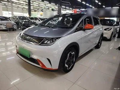 2021 BYD Dolphin Model 405km Fashion Edition, фото 2, лот 10259221
