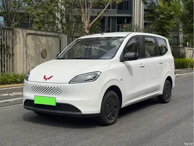 2025 Wuling Motors Wuling Hongguang New Energy Extended-Range Hybrid 50KM Comfort Version, фото 1, лот 11223260
