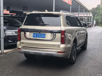 2022 Tank 500 3.0T Business Edition Dengfeng 5-Seater, фото 4, лот 11223393