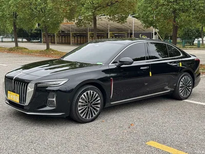 2025 Hongqi H5 2.0T Automatic Flag Celebration 500,000 Units Anniversary Edition, фото 3, лот 11174619