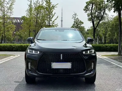 2018 WEY P8 2.0T Flagship Model, фото 3, лот 11196211
