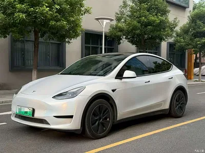 2022 Tesla Model Y Facelift Rear-Wheel Drive Version, фото 1, лот 11140747