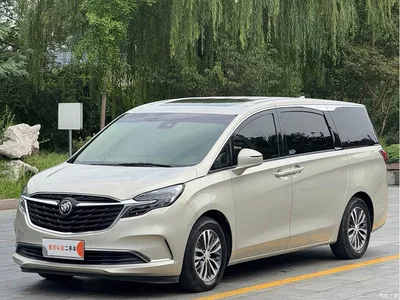 2021 Buick GL8 ES Landlord 653T Premium, фото 1, лот 10251445