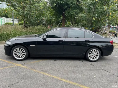 2014 BMW 5 Series 525Li Luxury Design Package, фото 4, лот 11016617