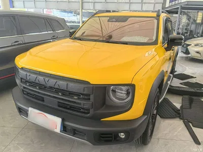 2024 Haval Big Dog 1.5T DCT Border Collie Edition, фото 1, лот 11177761