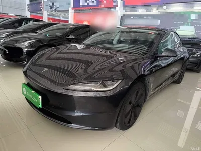 2023 Tesla Model 3 Long Range All-Wheel Drive, фото 2, лот 10369441