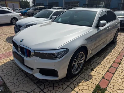 2020 BMW 5 Series 525Li M Sport Package, фото 1, лот 11211535