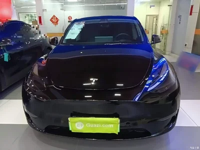 2021 Tesla Model Y Model Long Range AWD, фото 3, лот 10370130