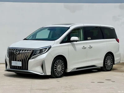 2021 GAC Trumpchi Trumpchi M8 Master Series 390T 4-Seat Glory Edition, фото 1, лот 10416801