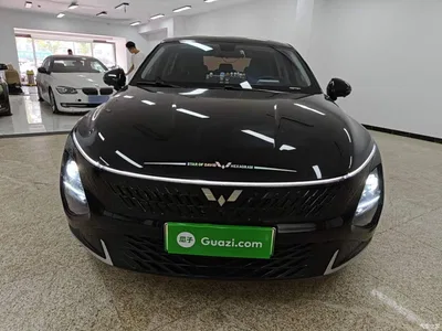 2024 Wuling Motors Wuling Xingguang Co-Creation Edition 70 Standard, фото 3, лот 10821823