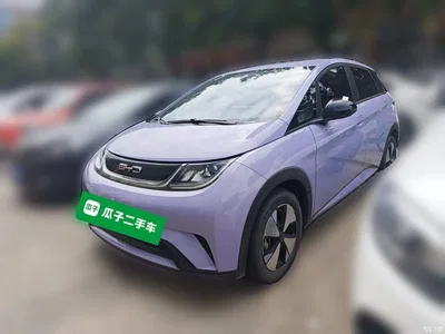 2023 BYD Dolphin 420km Freedom Edition, фото 1, лот 10252769