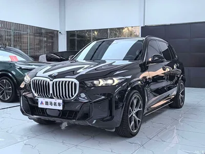 2023 BMW X5 xDrive 30Li Premium M Sport Black Night Package, фото 1, лот 11194403