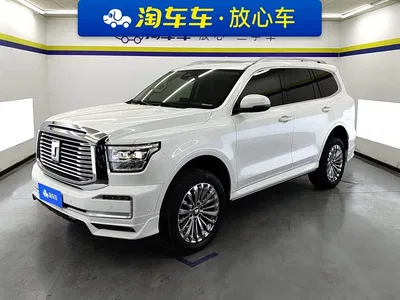 2022 Tank 500 3.0T Business Edition Zaojing 5-Seater, фото 1, лот 11225225