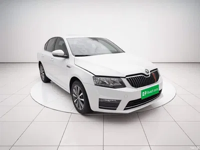 2017 Škoda Octavia 1.6L Automatic Pioneer Edition, фото 3, лот 11195888