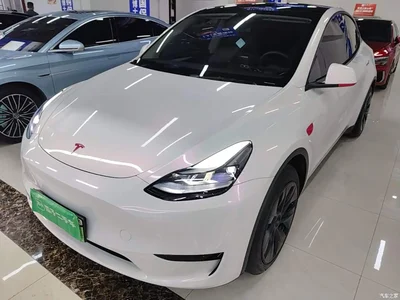 2024 Tesla Model Y Rear-Wheel Drive Version, фото 2, лот 11196790