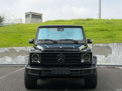 2020 Mercedes-Benz G-Class G 350, фото 2, лот 10280924