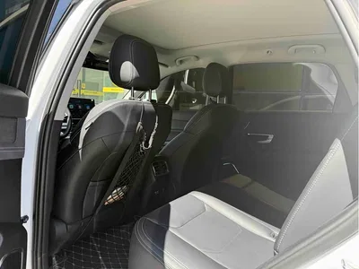 2019 BYD Song Pro New Energy EV High Power Premium Model, фото 4, лот 10273367